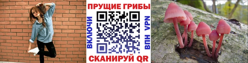 Псилоцибиновые грибы MAGIC MUSHROOMS  Купить  Армянск 